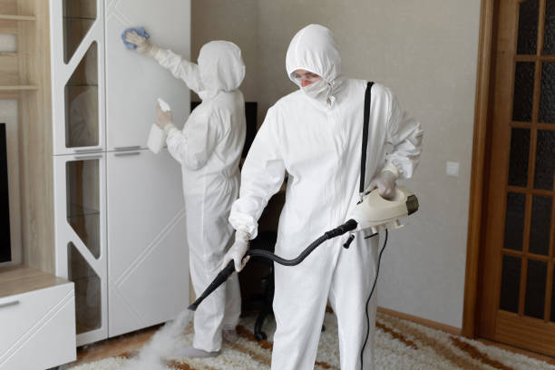 Affordable Sewage Cleanup solutions in Havana, IL